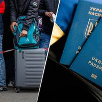 Польща готова депортувати, а Німеччина залишити українських чоловіків без паспортів