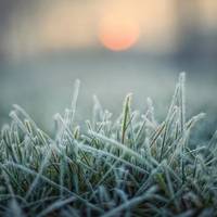Сильні заморозки скують Україну: названо три області, де буде найхолодніше
